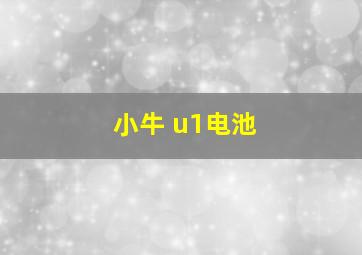 小牛 u1电池